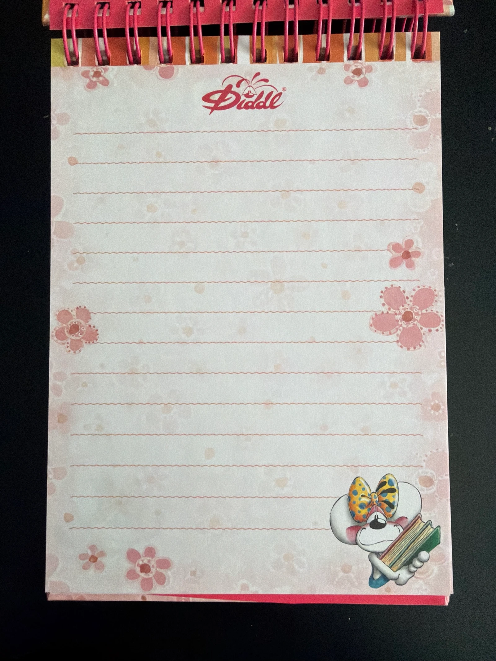 Caderno espiral Diddlina coleção Volta às aulas – photo 2